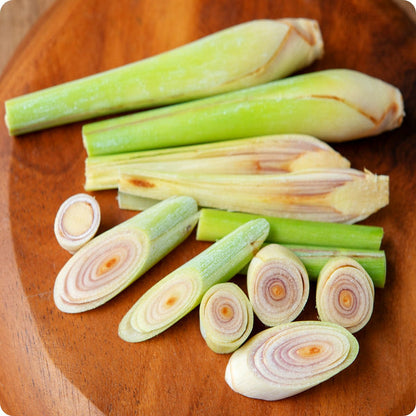 West Indian Lemongrass Seeds Cymbopogon Citratus – Edible heirloom non-gmo organic garden seeds