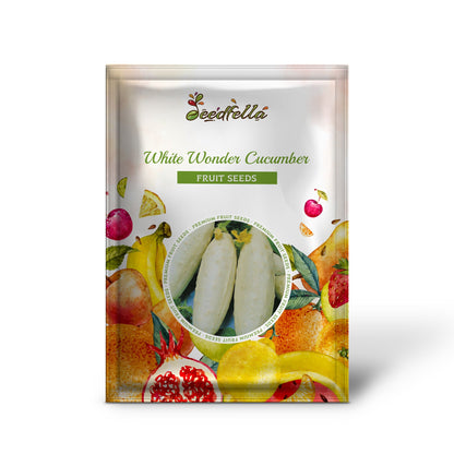 White Wonder Cucumber (Cucumis Sativus) Fruit Seeds
