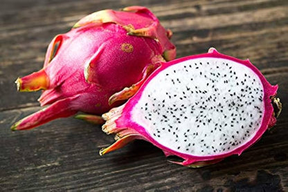 White Dragon Fruit (Pitaya / Pitahaya / Strawberry Pear) Hylocereus undatus Cactus Seeds