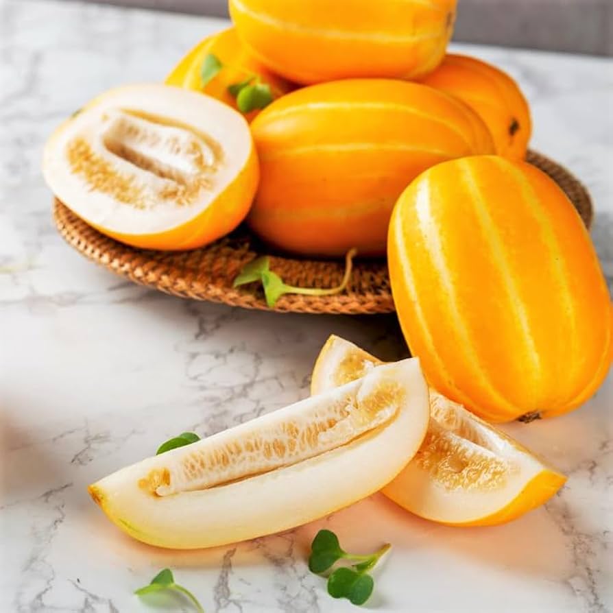 Early Silver Line Melon (Cucumis melo) Yellow Striped Skin White Flesh Korean Fruit Seeds