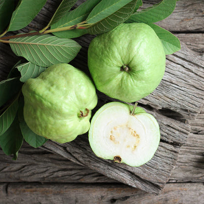 Guava White Tropical Fruit Seeds