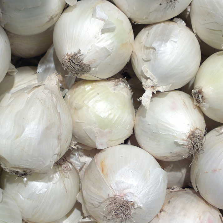 White Sweet Spanish Onion Vegetable Seeds
