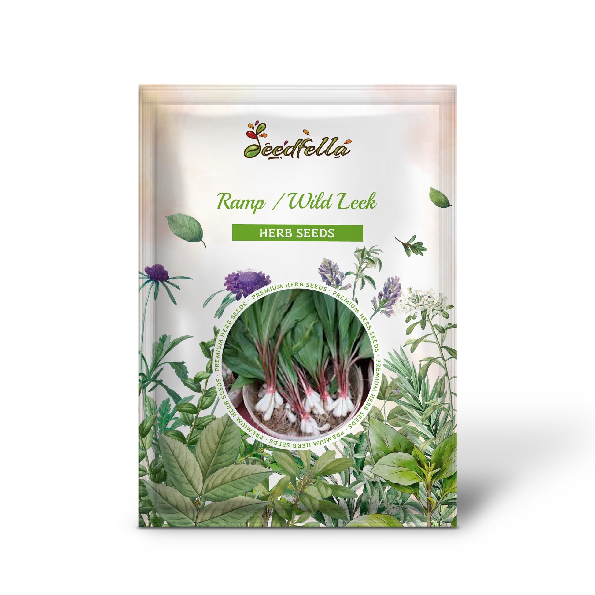 ramp plant seeds Ramp Wild Leek Allium Tricoccum Vegetable Herb Shade Flower Seeds Organic Garden Seeds – Pure Asia Seeds