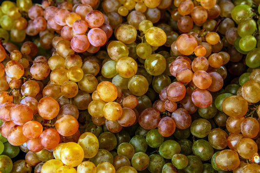 Wine Grape Vitis Vinifera Domestic Mixed Colors Fruit Vine Seeds heirloom non-gmo organic garden seeds