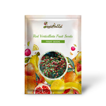 Red Verticillata Fruit Seeds for Planting - Grow Delicious Red Fruits