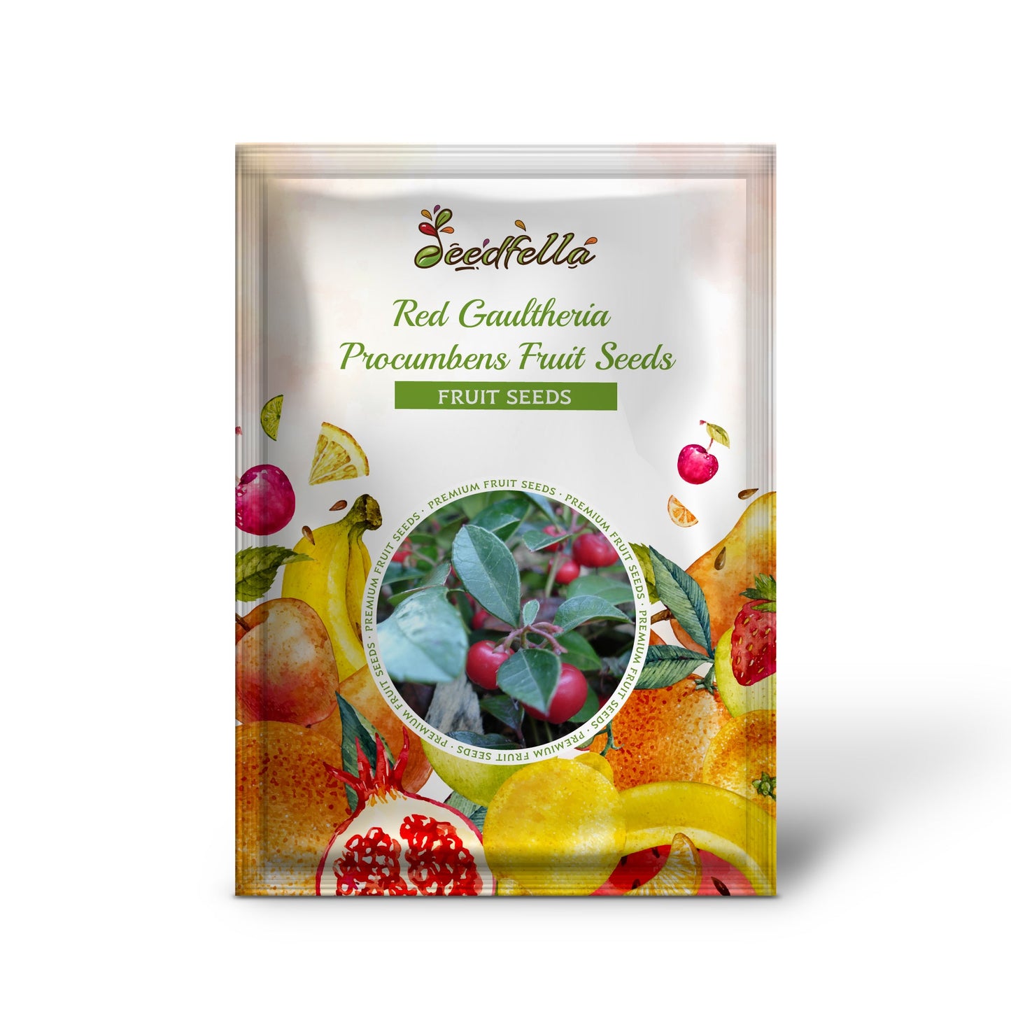 Red Gaultheria Procumbens Fruit Seeds