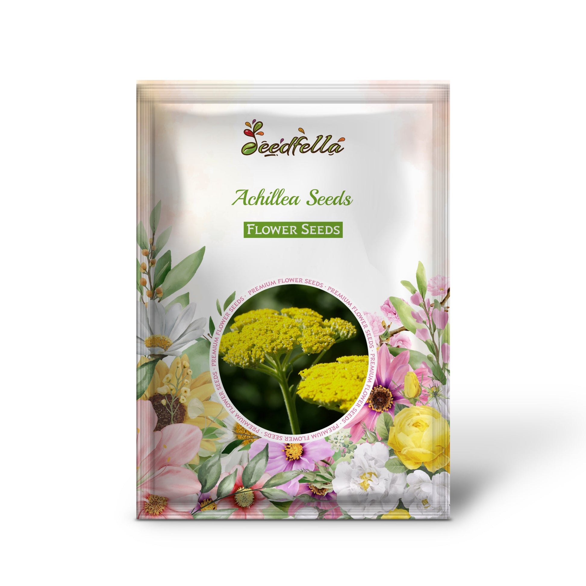 Yarrow Achillea Flower Seeds  Hardy Perennial Garden Seeds