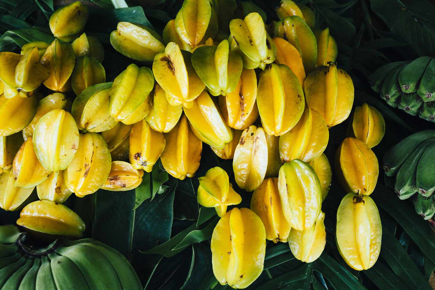 Yellow Carambola Fruit Seeds Planting Sweet heirloom non-gmo organic garden seeds
