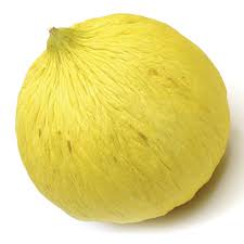Yellow Casaba Melon Fruit Seeds Planting Sweet