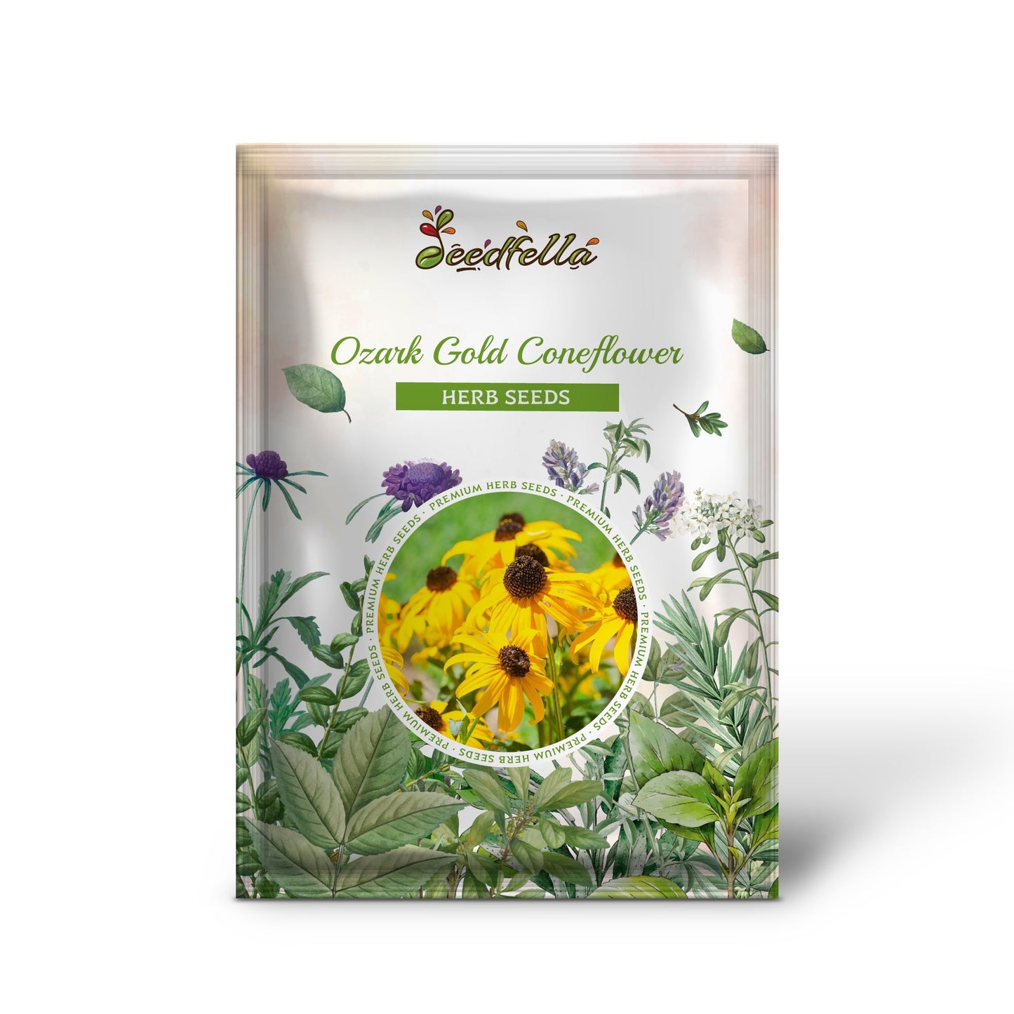 Ozark Gold Coneflower (Echinacea paradoxa) Yellow Bush's Coneflower Flower Seeds