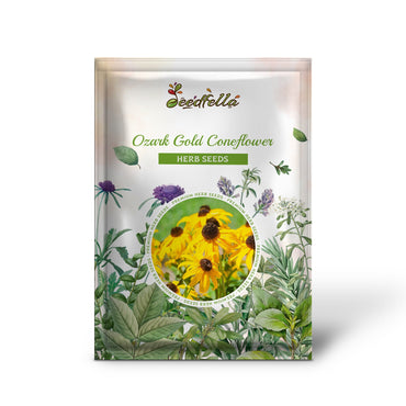 Ozark Gold Coneflower (Echinacea paradoxa) Yellow Bush's Coneflower Flower Seeds