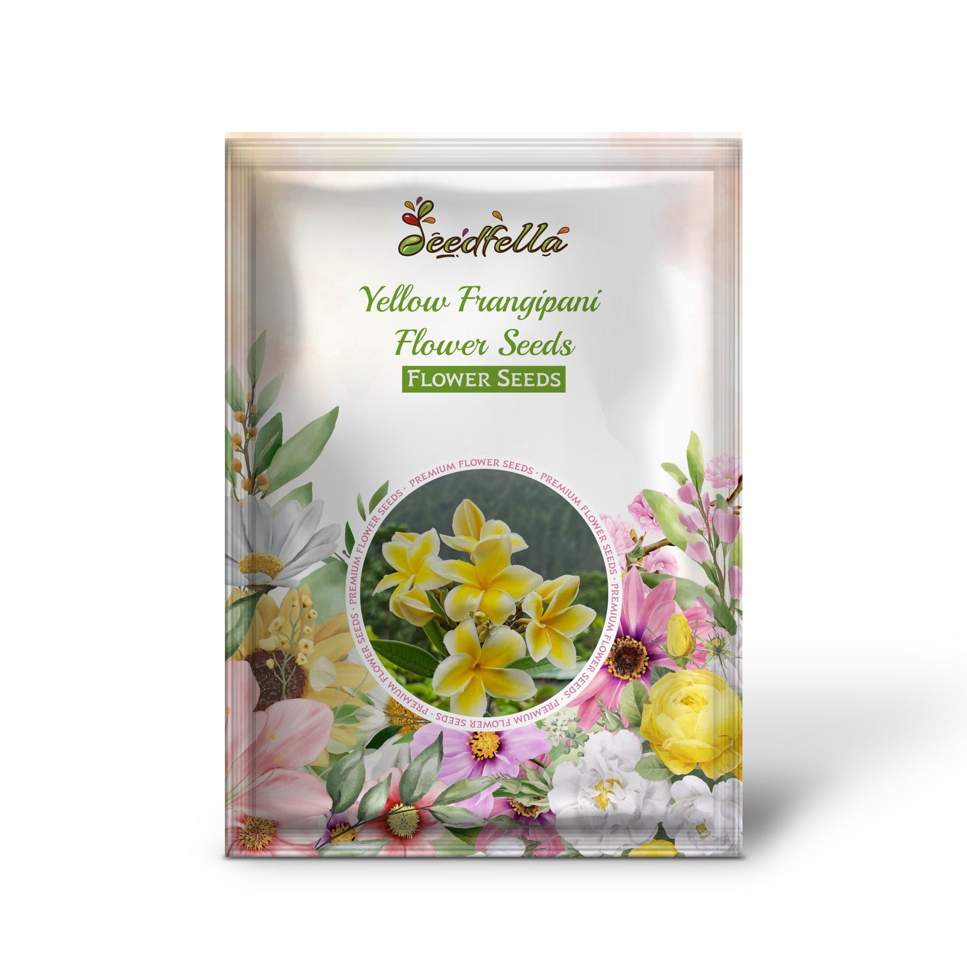 Yellow Frangipani Seeds for Garden Borders and Containers