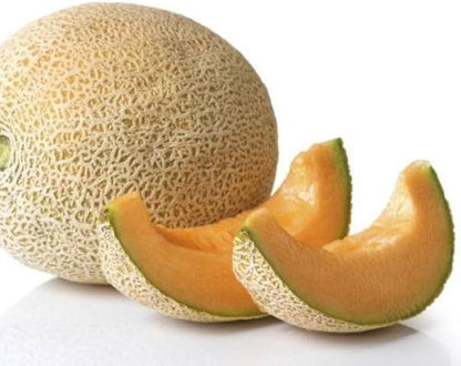 Yellow Galia Melon Vegetable Seeds Planting Sweet heirloom non-gmo organic garden seeds
