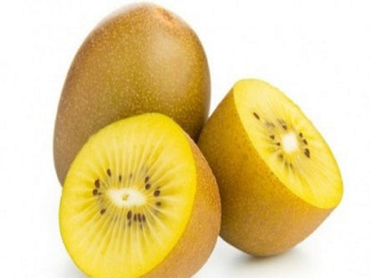 Golden Kiwi Fruit (Actinidia chinensis) Vine Seeds – Yellow Kiwifruit, Chinese Gooseberry, Flowering Vine