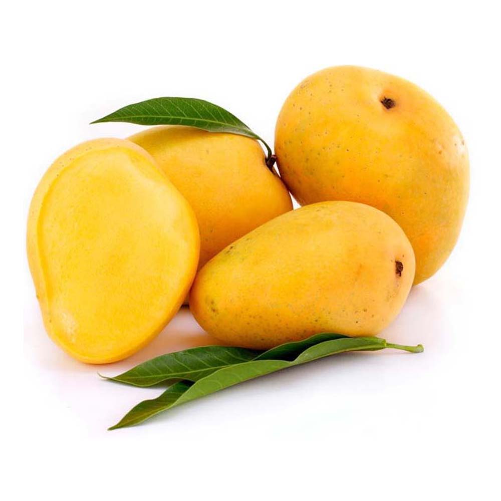 Yellow Mango Seeds For Planting Grow Sweet Mangoes For Your Garden heirloom non-gmo organic garden seeds