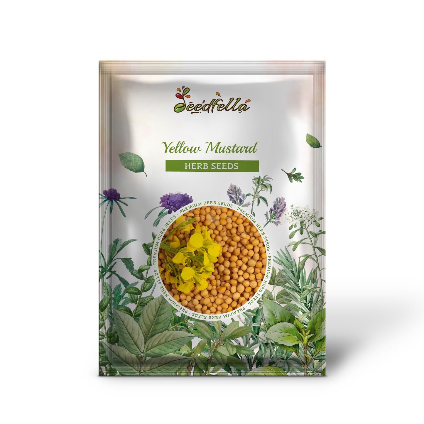 Yellow Mustard (Brassica juncea) Vegetable Herb Seeds