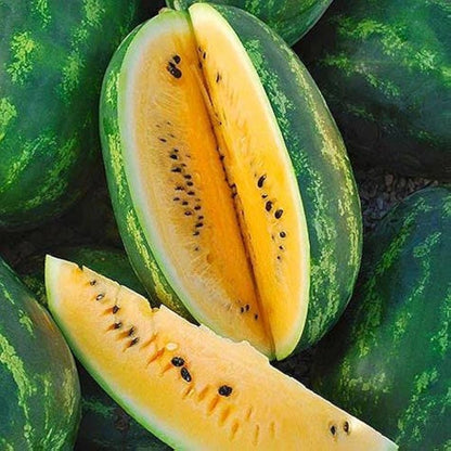 Yellow Flesh Yellow Crimson Watermelon (Citrullus lanatus) Melon Fruit Vine Seeds