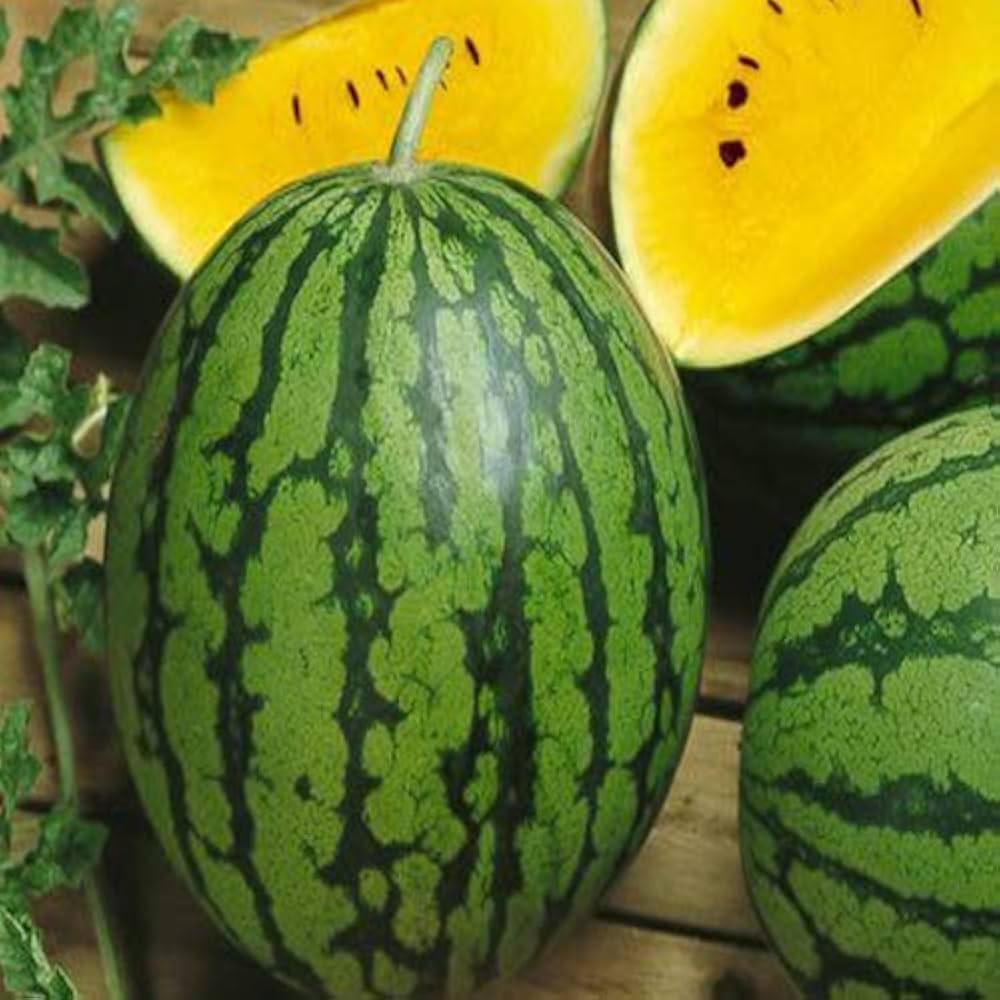 Yellow Watermelon Fruit Seeds Planting Sweet heirloom non-gmo organic garden seeds