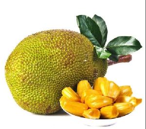 Yellowgreen Jackfruit Fruit Seeds Planting heirloom non-gmo organic garden seeds
