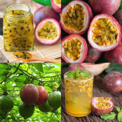 Passion Fruit Passiflora edulis Fruit Seeds for Planting in Garden
