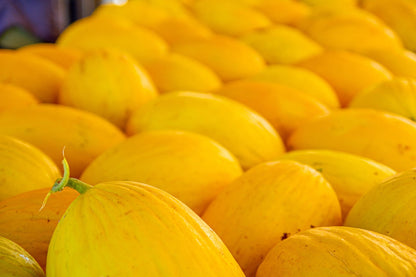 Yellow Melon Fruit Seeds Planting Sweet