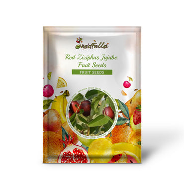 Red Ziziphus Jujube Fruit Seeds Planting Sweet