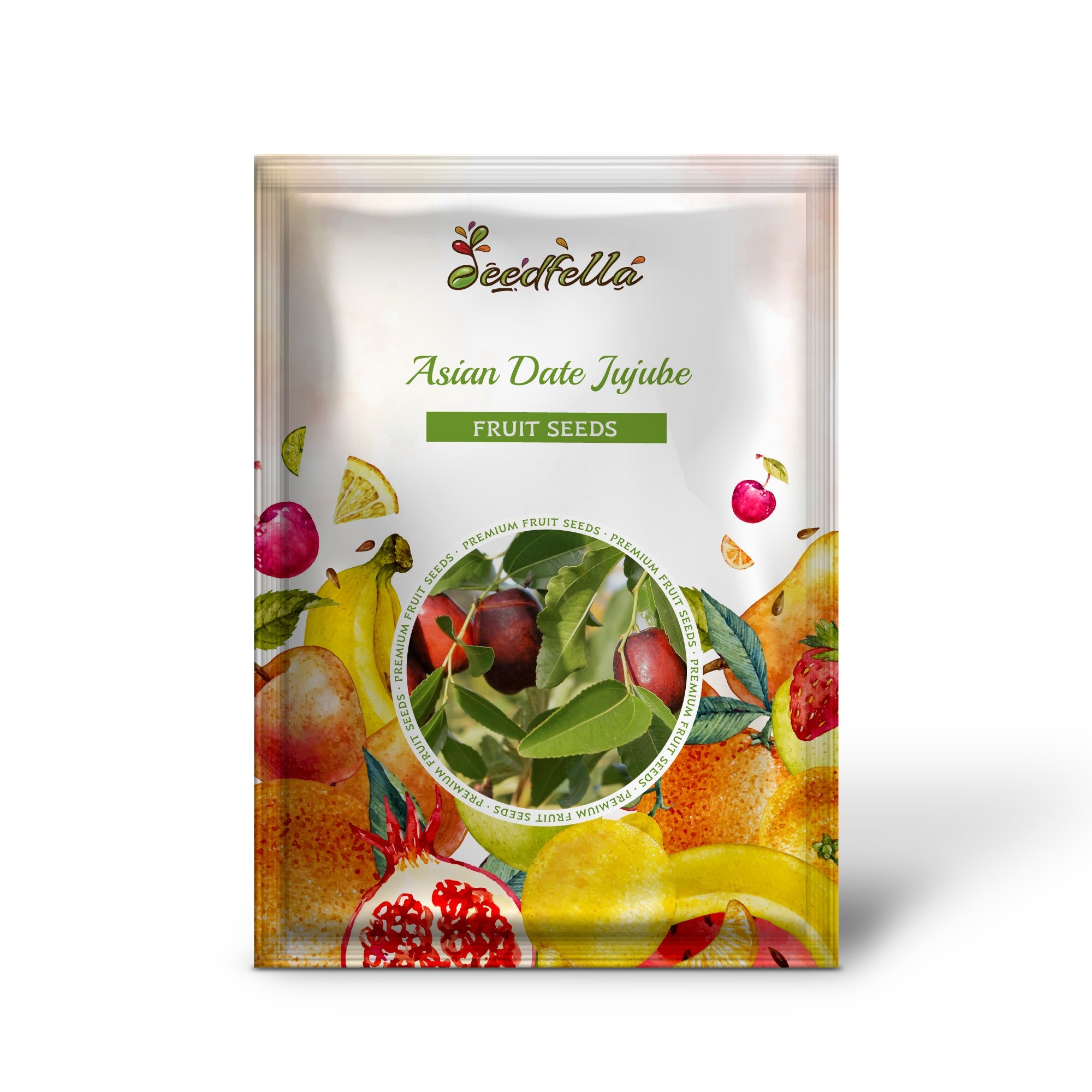 Asian Date Jujube Ziziphus Spinosa Red Fruit Tree Seeds – Sweet